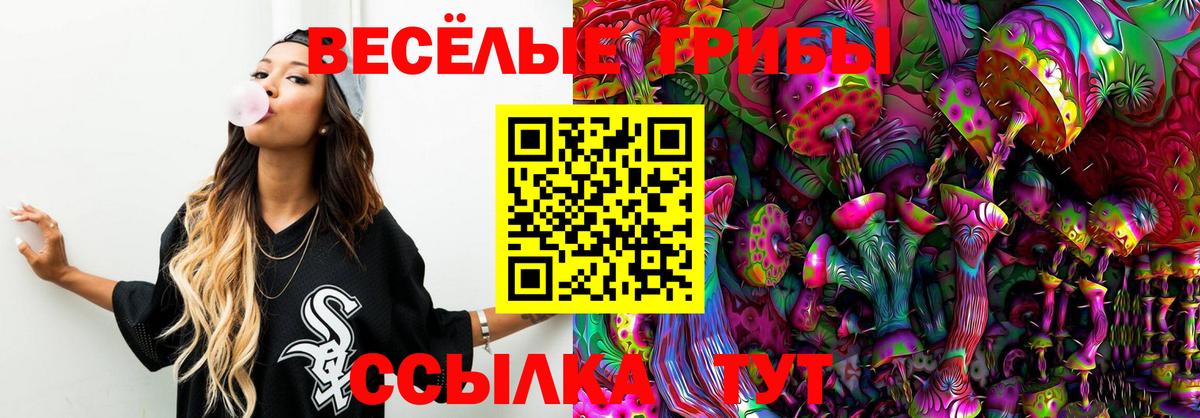 где можно купить наркотик  Вход с VPN  Тимашёвск  Псилоцибиновые грибы мицелий  Псилоцибиновые грибы прущие грибы 