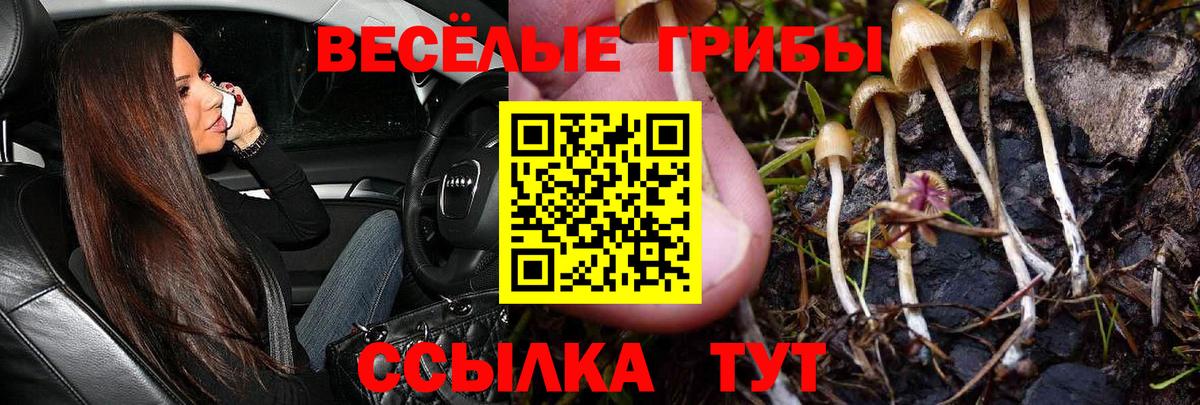 Псилоцибиновые грибы ЛСД Тимашёвск